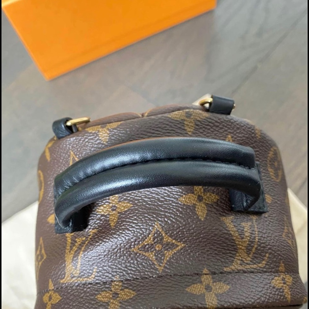 LV Palm Spring Mini Backpack - Picture 9 of 9